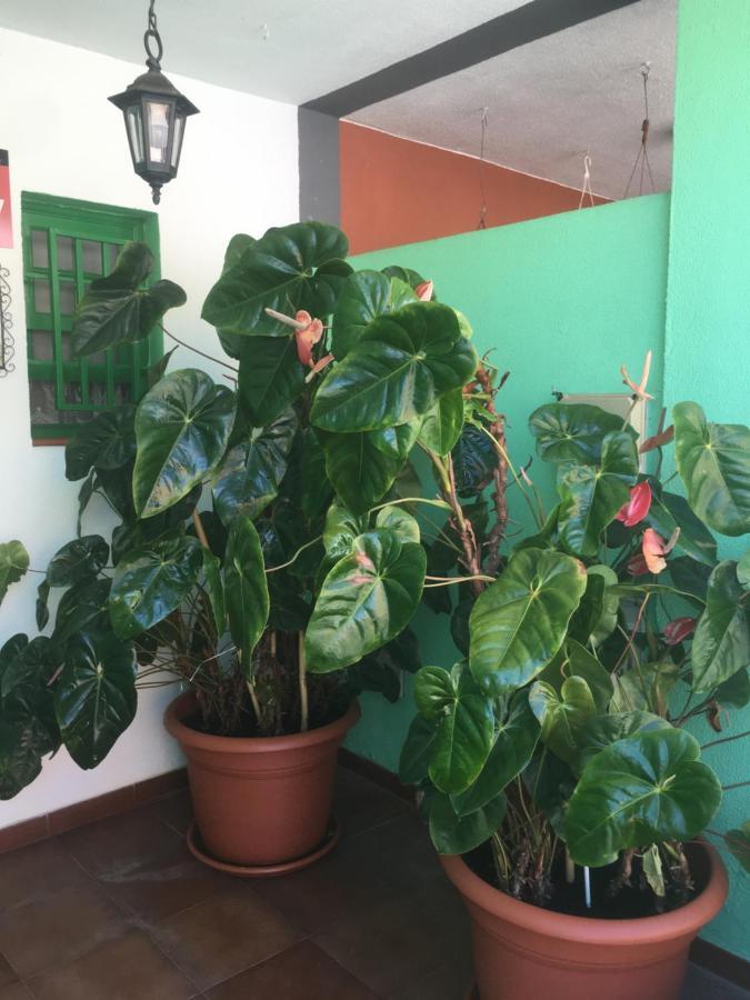 Casa Angeles Βίλα Santa Cruz de la Palma  Εξωτερικό φωτογραφία